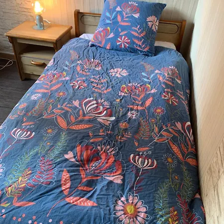 招待所 Chambre 4 Avec Un Lit Simple 斯特拉斯堡